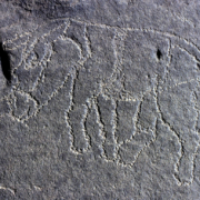 Les gravures rupestres de l’Adrar des Iforas (Mali)