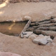 La civilisation de la foggara
